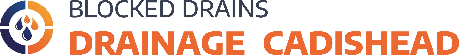 website logo